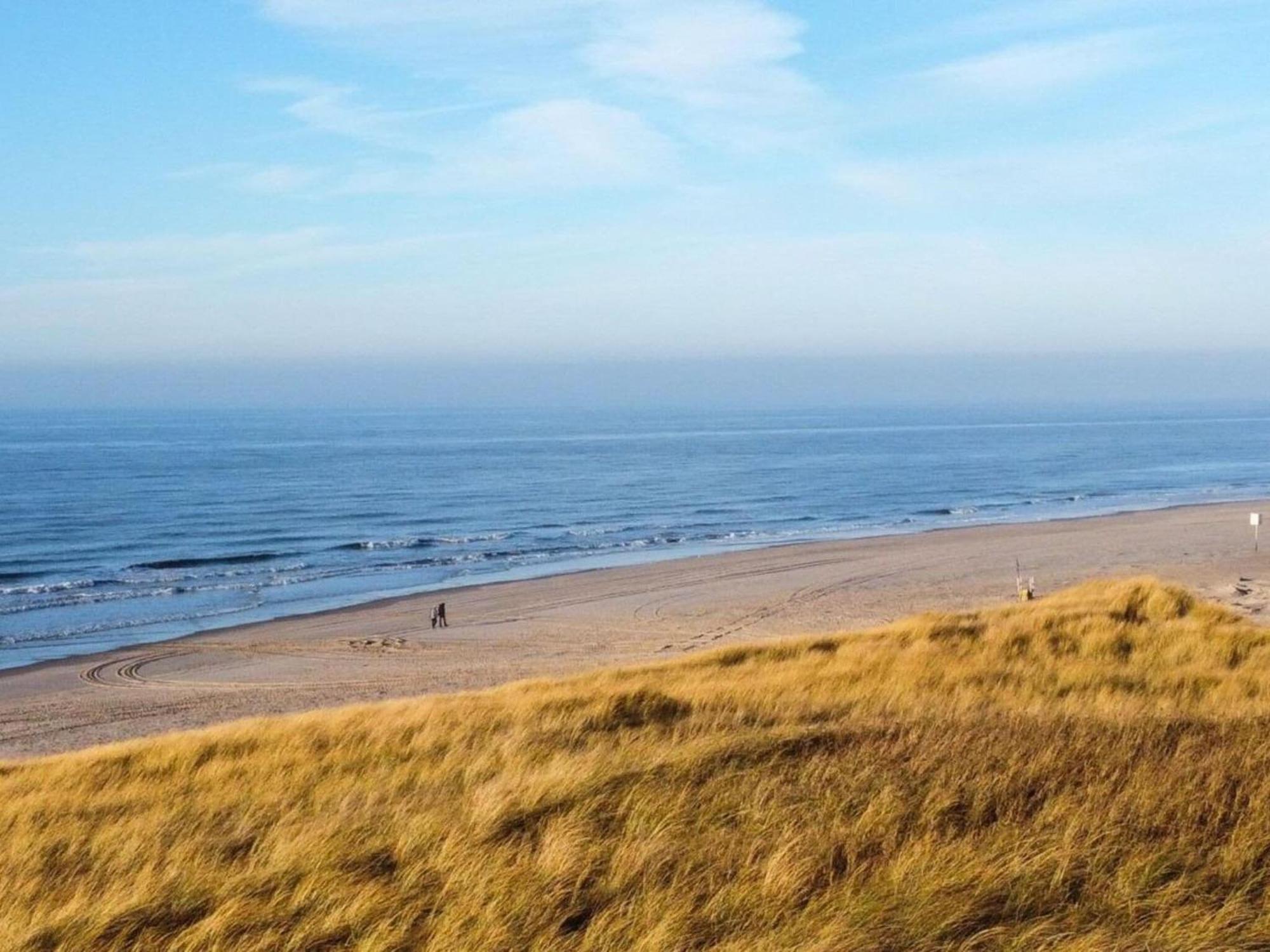 Gorgeous Holiday Home By The Beachside Callantsoog Exterior foto